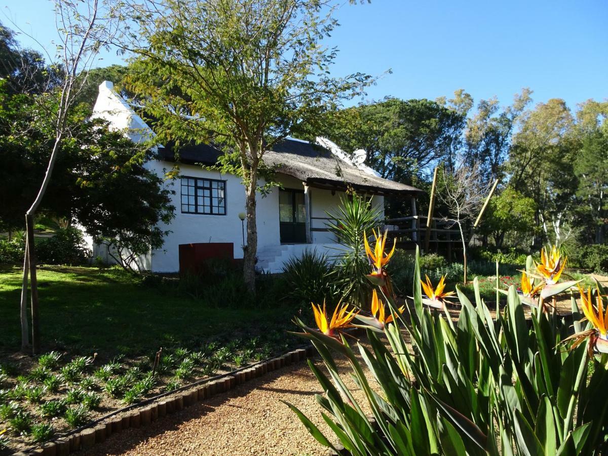 Mooi Bly Villa Paarl Exterior photo