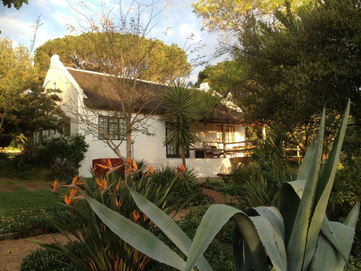 Mooi Bly Villa Paarl Exterior photo